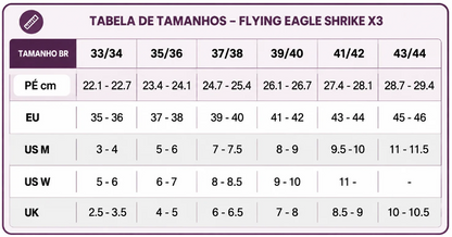 PATINS FLYINGEAGLE SHRIKE X3 2026 PRETO | ABEC 7 CHROME